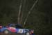 (c)2007KevinHahnOFPR-408